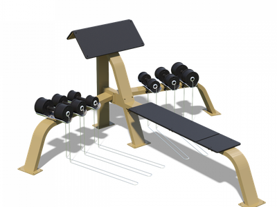 SCOTTOVA LAVIČKA S JEDNORUČKAMI A BENCH PRESS LAVIČKOU