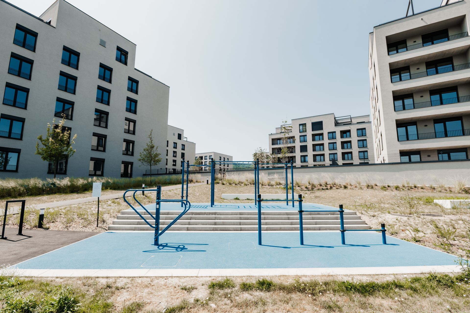 Project image 6