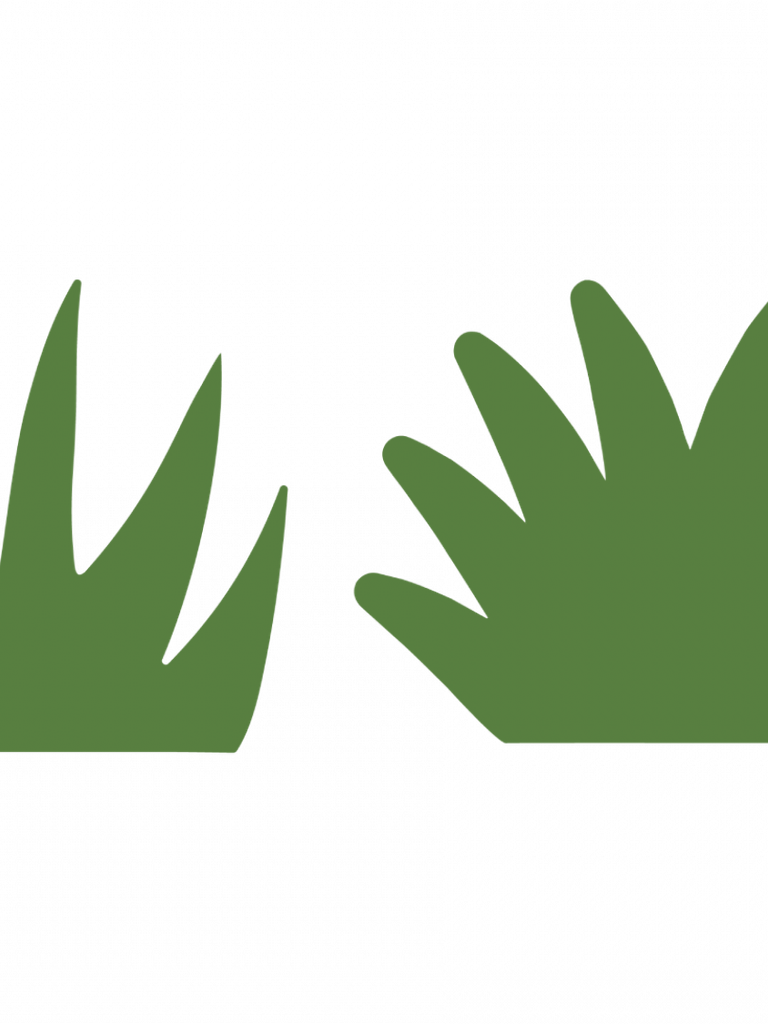 Tráva